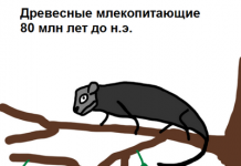 Мислення паралізованої жінки управляє роботизованою рукою