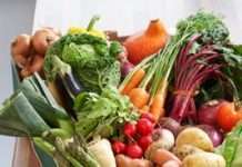 Сімейні фрукти дітей підвищення їжі і споживання овочів