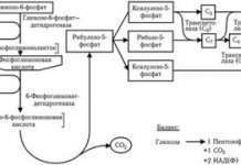 Собаки виявлення аромату можуть пронюхати внутрішньолікарняні інфекції