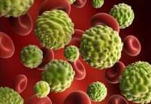 Знання, як клітини знають, що вони не перевернуті, може допомогти боротися з раком