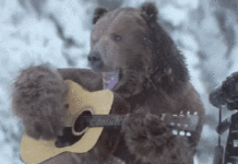 38 причин, за яким життя в Росії не дає скучати нікому