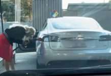 Відео: жінка намагається заправити Tesla на АЗС, це просто шедевр