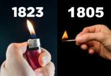 21 короткий факт, який дивує