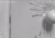 Як розбивається скло в сповільненій зйомці: приголомшливо красиве відео