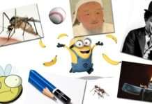 62 дивовижних факту, розбурхують свідомість