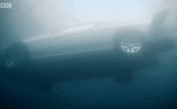 Це не вдавалося зробити нікому, крім команди Top Gear: підводний човен з Lotus Esprit