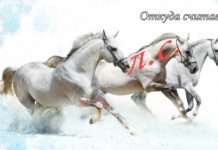 Чому потужність автомобіля насправді «плаваюча», а не постійна?