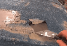 Стомився за тиждень? Подивись нашу підбірку відео з видалення фарби – розслабся