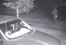 У США злочинець викрав автомобіль для вчинення злочинів, кожну ніч повертаючи його назад