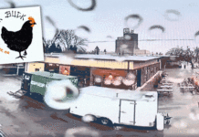 Після цих відео у вас не залишиться сумнівів, що газ в машині – це небезпечна річ