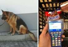 17 супермаркетів і магазинів одягу, які живуть в 3019 році