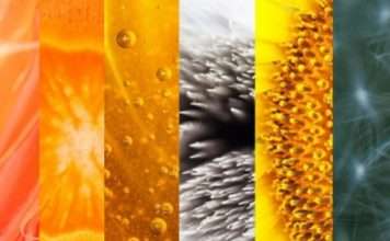 Чи Можете ви визначити повсякденні обєкти з цим великим планам?