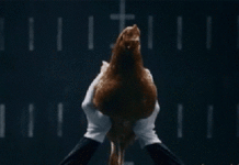 12 речей, які знають тільки власники Mercedes