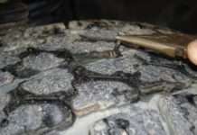 Як довго можна їздити з цвяхом в шині?