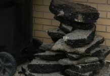 Американець розбив дратував його “лежачого поліцейського” киркою