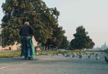 Блог ім. Freeragepunk → хто годує голубів в пітері?