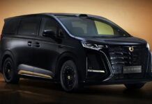 Темне золото: розкішна опція для BYD Denza D9